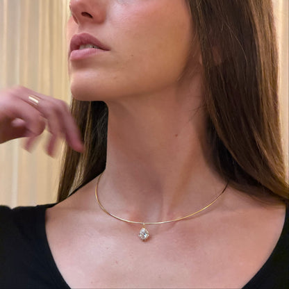 Collar PIA - Dorado